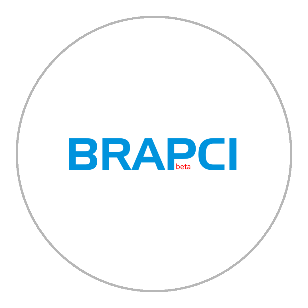 6 BRAPCI_cinza Logo BRAPCI