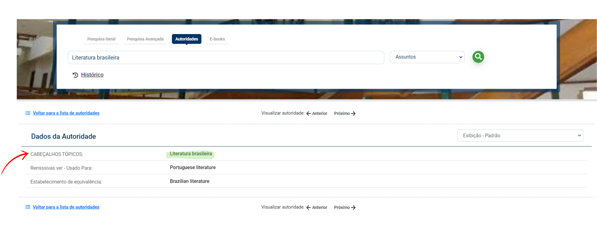 consulta no catatolo bibliotecas uff